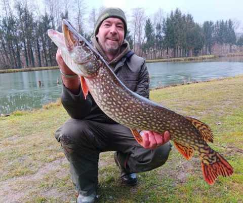 IMG-20241214-WA0020